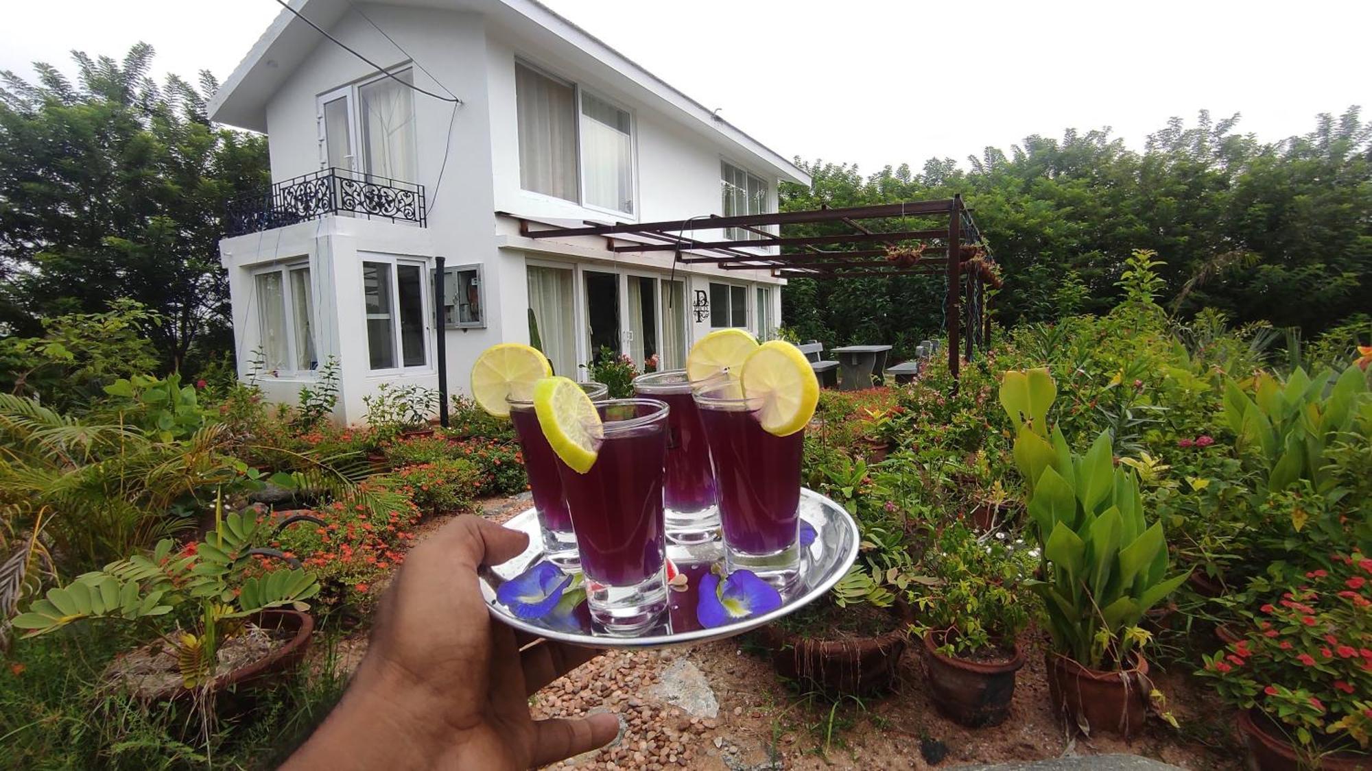 Vaksana Farm Stay Gudraippattu Luaran gambar