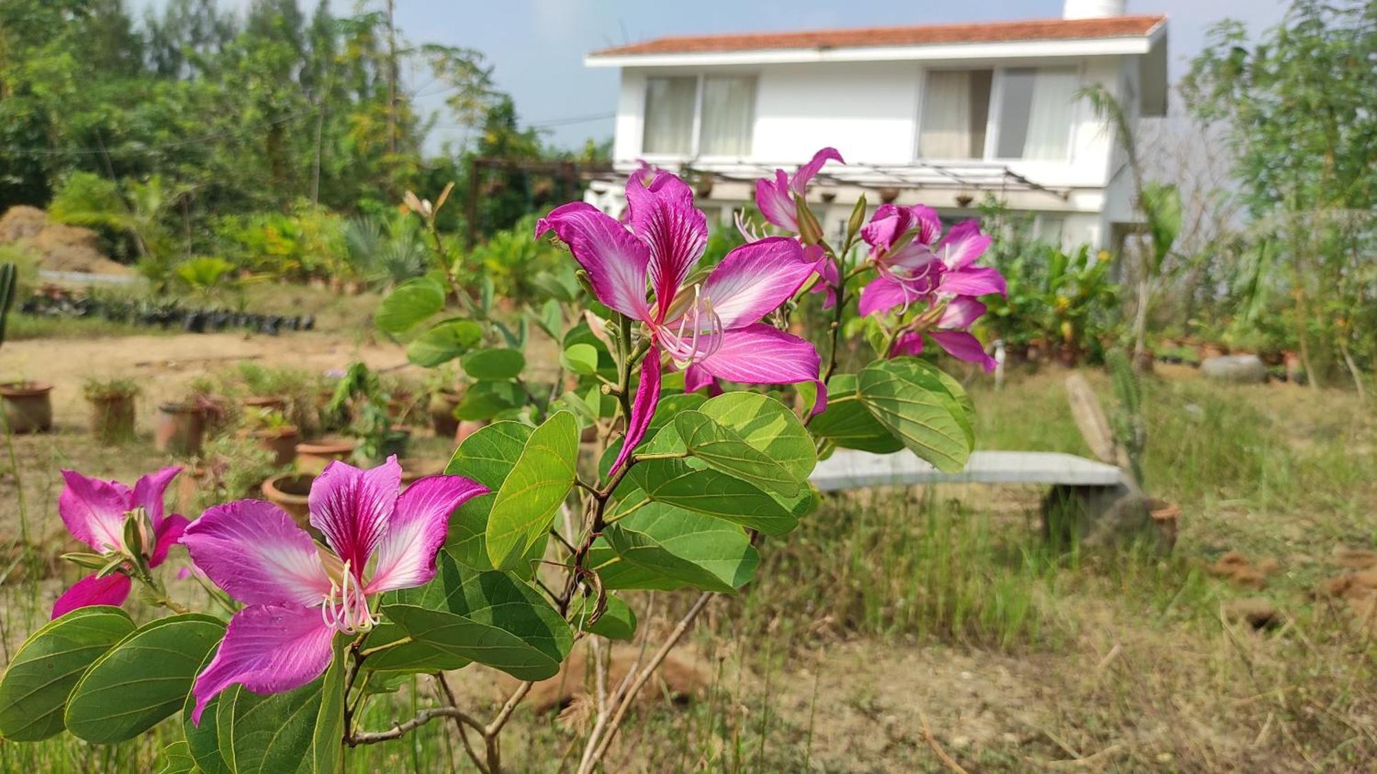 Vaksana Farm Stay Gudraippattu Luaran gambar