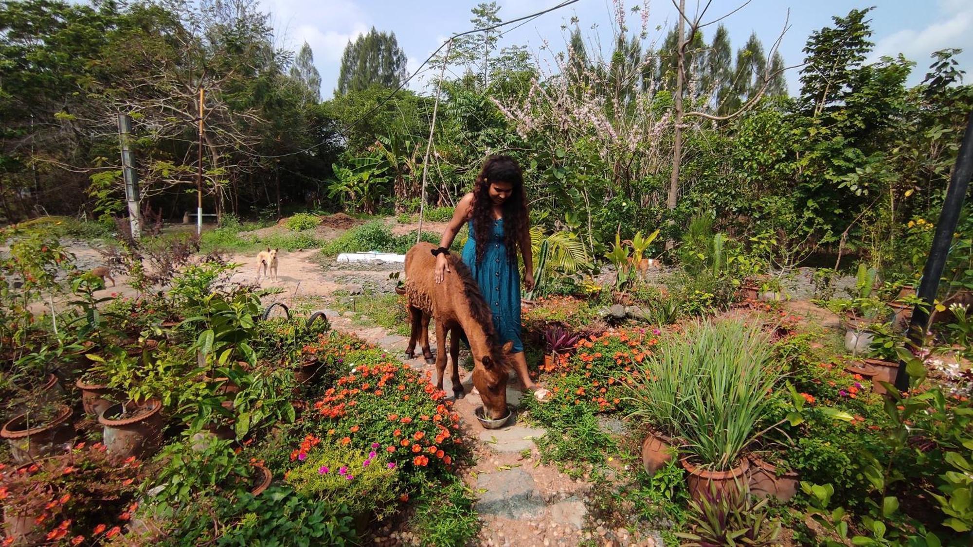 Vaksana Farm Stay Gudraippattu Luaran gambar