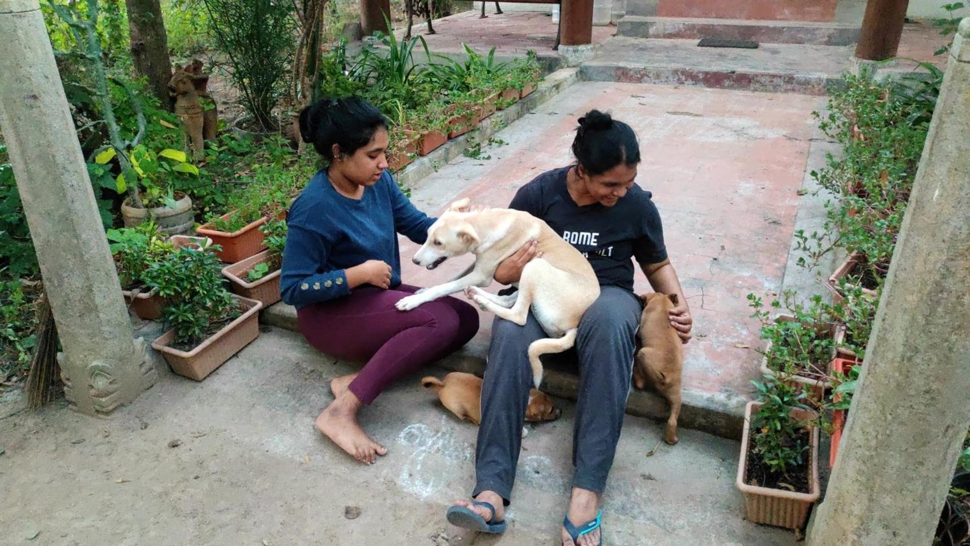 Vaksana Farm Stay Gudraippattu Luaran gambar