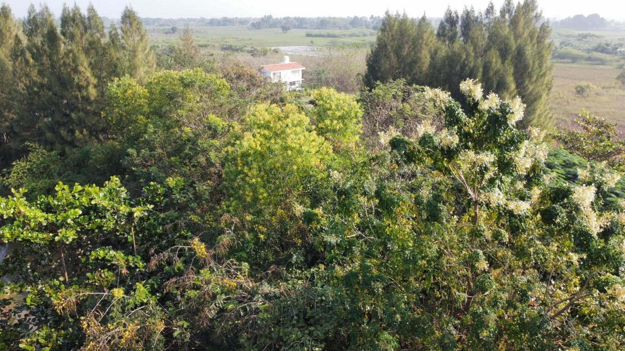 Vaksana Farm Stay Gudraippattu Luaran gambar