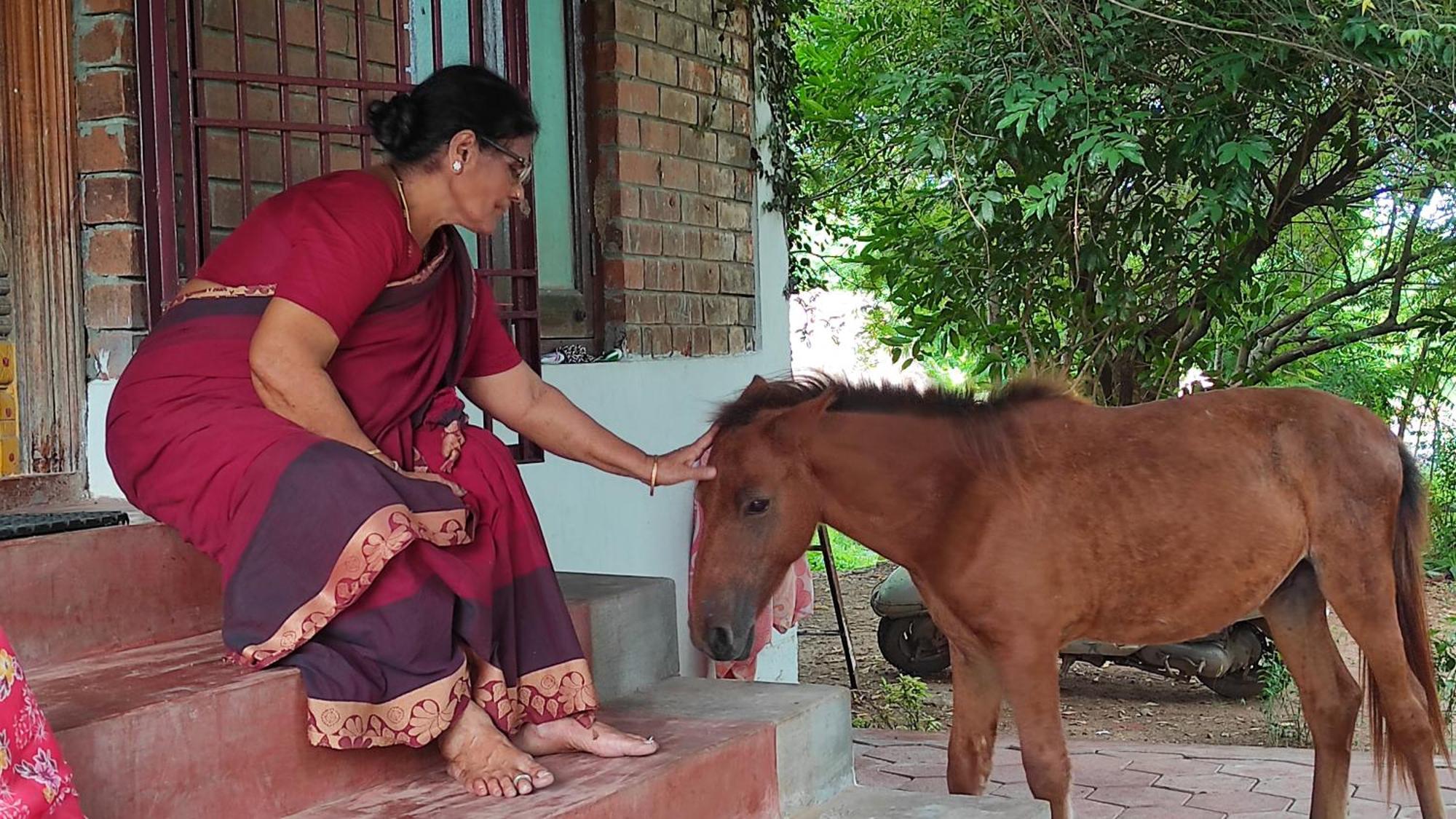 Vaksana Farm Stay Gudraippattu Luaran gambar
